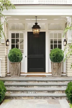 Tom Thumb Dwarf Globe Arborvitae - 3 Gallon Pot -Blossom Grove Store Arborvitae Tom Thumb 10