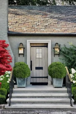 Woodward Globe Arborvitae - 3 Gallon Pot -Blossom Grove Store Arborvitae Woodwardii Globe 13