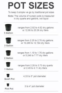 New Products -Blossom Grove Store pot size chart 2022 81